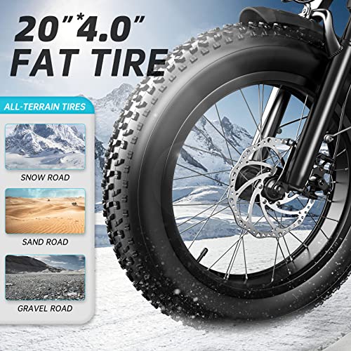 Mukkpet Electric Bike For Adults,Ebike,Folding E Bike,Fat Tire Ebike 500W 48V 13Ah Removable Lithium Battery 20 * 4.0'' Fat Tire City Ebike For Adult Folding Ebike For Men Women (Black) (Black) #TOP6