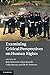 Produktbild Examining Critical Perspectives on Human Rights