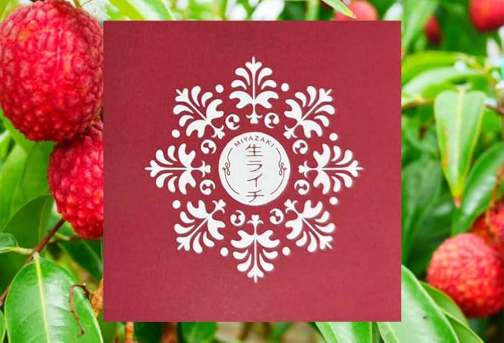 ④ 【宮崎県産】生ライチ　Lサイズ　48玉 約2kg 楽天市場】【ふるさと納税】［2026年発送］先行予約 希少！国産