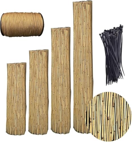 Protección natural y sombra exterior para decoración de jardín 2