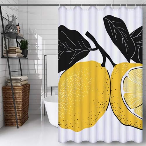 V[J[e 160x220cm |GXe@ۍޗAhA\AteՁAtbN12AvCoV[ی ʏ  CKpCeA i Pj Y#153