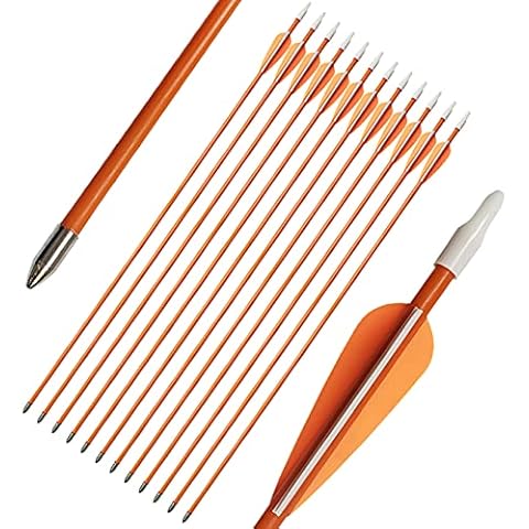 PANDARUS Youth Safetyglass Arrows 28" Fiberglass Archery 26" Target Practice Arrows(Pack of 12) (26 inch Orange) Cover