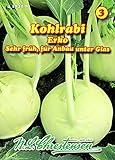 noriko watanabe imdb  Kohlrabi, Erko früh, spät, Folie mögl. N.L.Chrestensen Samen 418428-B
