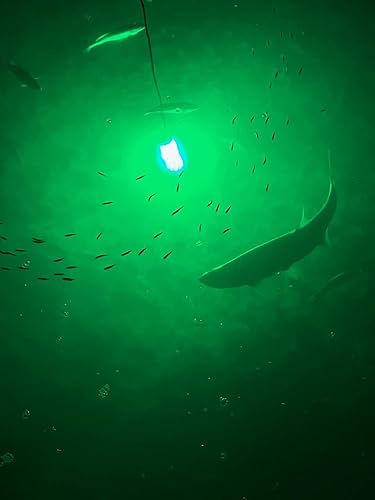 Miniatura 5 de Green Blob Outdoors Nueva luz de pesca LED subacuática 15000 lúmenes 12 V batería alimentado con pinzas de cocodrilo luz de pescado atracción Snook