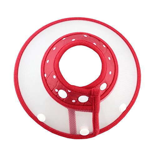 Image of Pet Plastic Clear Cone Recovery E-Collar with Dots Design Soft Edge for Small Dogs & Cats (Small, Red)