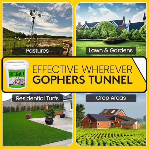 Kaput-D Pocket Gopher Killer Bait Bucket - Ready-to-Use Pellets for Effective Rodent Bait, Perfect for Residential & Agricultural Use - Diphacinone Formula for Lawn, Turf & Crop Areas (10 lbs)