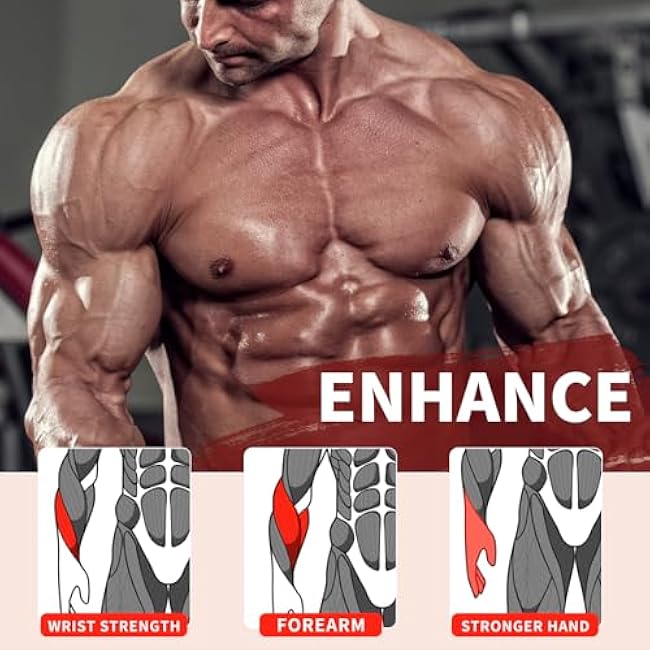 Solid Metal Hand Grip Dynamometer Hand Grip Strength Tester 165lb Adjustable Grip Strength Trainer with 5 Heavy Duty Springs,Professional Forearm & Finger Exercise Equipment for Athletes,Gym & Home Workouts