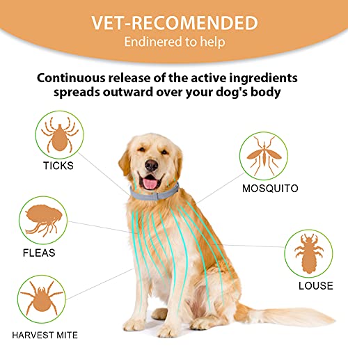2 Pack Flea and Tick Prevention for Dogs Purple, Prevention, Treatment of Flea & Tick for 8 Months, Natural Ingredients Dog Flea Collars, Waterproof, Free Comb, 25 inches - Image 2