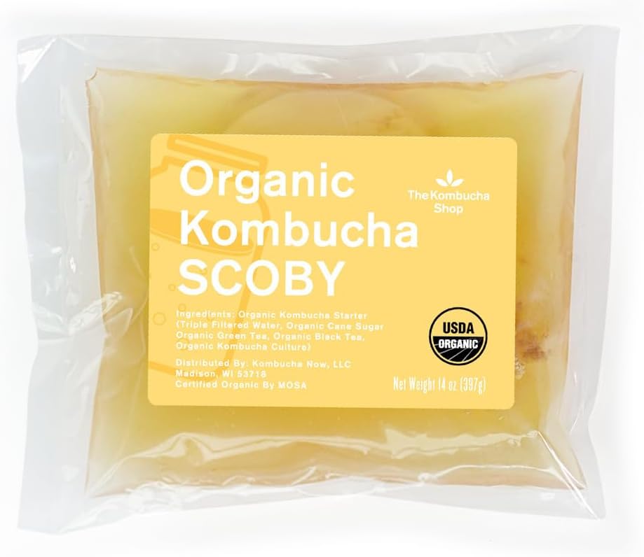 オーガニック SCOBY コンブチャスターターキット – 100%醸造保証 – スターターリキッドを使用したフレッシュなライブカルチャー – Kombucha Shop