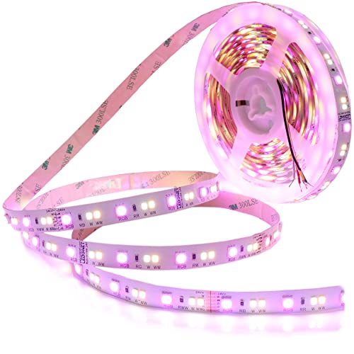 Tira de LED RGB+CCT RGBWW 16.4 pies 24V LEDENET miniatura 1