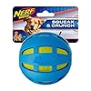 Nerf dog 38in rubber checker crunch ballblue with green crunch bag  urban country home decor