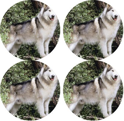Siberian husky dog Rubber Round Coaster set (4 pack) Great Gift Idea