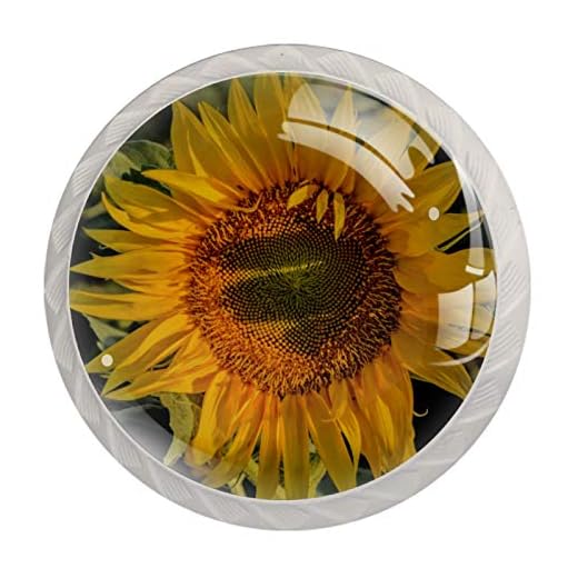 (4-pack) knoppar för köksskåp med skruvar glasknoppar för byrå lådor knoppar drar skåp solros växt gul blomma
