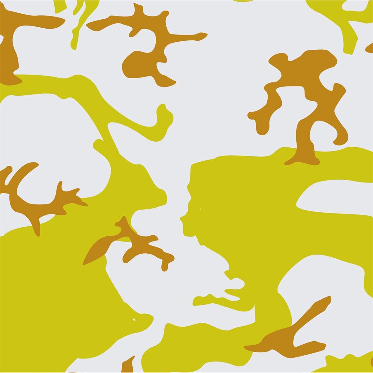 Queenbox 5x49ft Camouflage Pattern Vinyl Wraps Car DIY Wrap Vinyl Roll Film Self-Adhesive Camo Sheet Sticker, 1