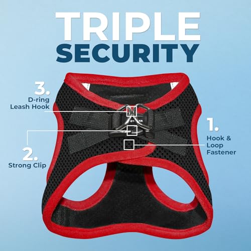 Image of Voyager Step-in Air All Weather Mesh Harness and Reflective Dog 5 ft Leash Combo with Neoprene Handle, for Small, Medium and Large Breed Puppies by Best Pet Supplies - Red Trim, XS