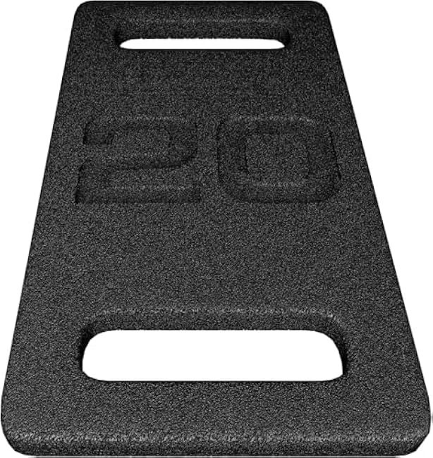20 LBS Cast Iron Weight Plate, Versatile Strength Training Plate for Rucking, Squats, Swings & Home Workouts, Wide-Grip Handle & Rounded Edges, Black Coated