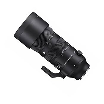 シグマ 70-200mm F2.8 DG DN OS Sports L Review: Sigma 70-200mm F2.8 DG DN Sports Lens | Professional