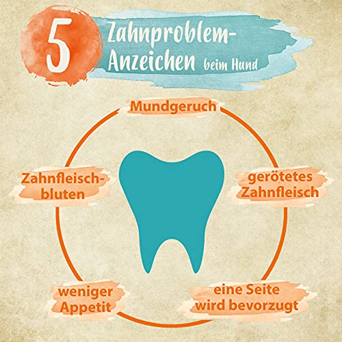 Ida Plus Denta Dog - kinderleichte Hunde Zahnpflege ohne Zähne bürsten - Hunde-Dental-Pflege stoppt Hunde Mundgeruch & sorgt für frischem Hunde-Atem - verhindert Hunde Zahnstein & Plaque - 150g