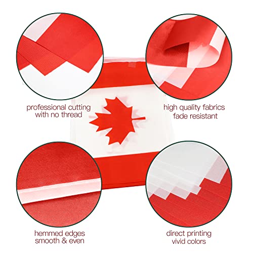 Image of Anley Canada Canadian String Pennant Flags, Patriotic Events July 1st National Canada Day Dominion Day Celebration Decoration for Sports Bars - 33 Feet 38 Flags