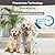 Calming Collar for Dogs 3pcs, Anxiety Relief Pheromone Dog Collar, Helps Pet with New Environment, Aggression, Fighting with Cat & Other Scenarios, 24” Adjustable Fits All Small, Medium, Large Dog