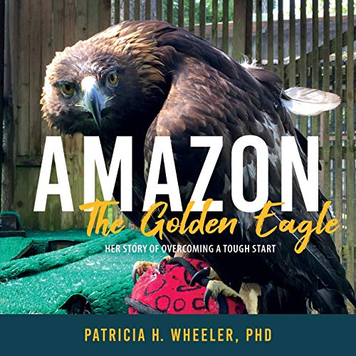 Amazon, the golden eagle: her story of overcoming a tough start