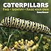 Produktbild Caterpillars: Find - Identify - Raise Your Own