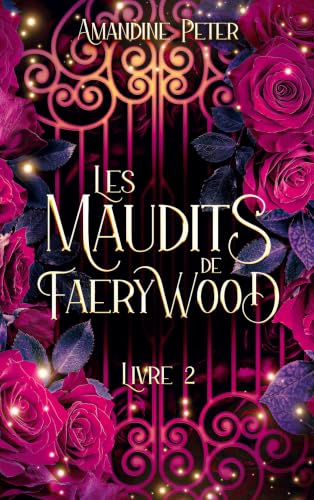 Illustration de Les Maudits de Faerywood, livre 2