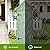FairOnly Outdoor Shed Storage Cabinet, Garden Wooden Sheds, Outside Storage Cabinet Weather Proof with Floor, Fir Wood Tool Organizer with Door and Shelves for Backyard, Hallway (Green)