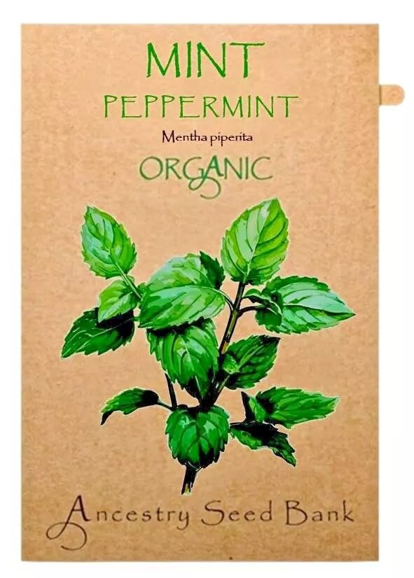 Organic Mint ❁ Peppermint ❁ x200 Seeds Heirloom Herbs - Non GMO