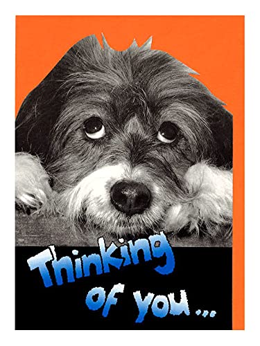 O[eBOJ[h ړI mN_CJbguFȂ̂ƂvĂvmNʐ^  bZ[WJ[h t AG