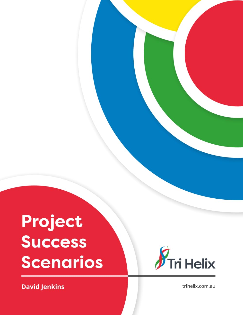 Project Success Scenarios: Plan for success, don’t leave it to chance (Project Success through Leadership series)