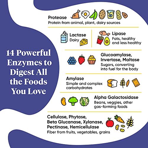 Enzymedica Digest Gold + Atpro, Maximum Strength Enzyme Formula, Prevents Bloating And Gas, 14 Key Enzymes Including Amylase, Protease, Lipase And Lactase, 45 Capsules #TOP6