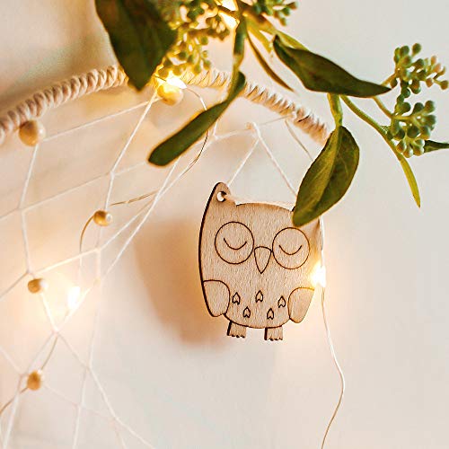 Artilady Macrame Dream Catchers for Bedroom - Boho Wall Hanging Handmade Woven Dream Catcher for Home Decor Ornament Craft Gift (Owl) - Thumbnail 4