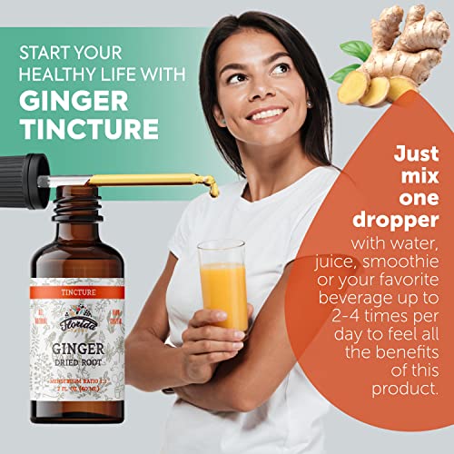 Florida Herbs Ginger Tincture, Organic Ginger Extract (Zingiber Officinale) Dried Root, Ginger Supplement, Ginger Usa #TOP1