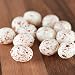 Factory Direct Craft® Package of Natural Colored Tiny Plastic Bird Eggs with a Realistic Appearance- 36 Eggs