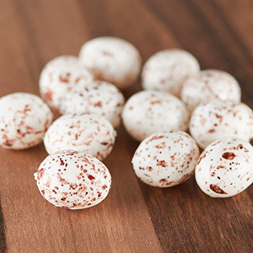Factory Direct Craft Package of Natural Colored Tiny Plastic Bird Eggs with a Realistic Appearance- 36 Eggs