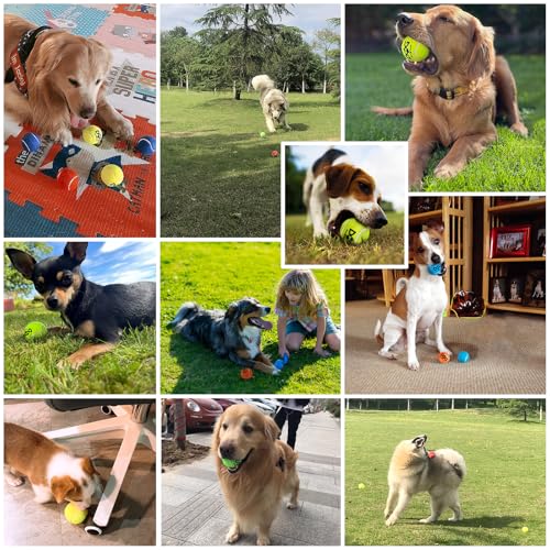 INSUM Tennisbälle für Hunde, bunt, leicht zu fangen, 5,1 cm, 12 Stück