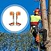 RANLOVE Tree Climbing Spikes Set, 304 Stainless Steel Adjustable Tree Climbing Spike 2 Gears and Non-Slip Pedal, Tree Climbing Spikes Tool for Climbing Trees, Picking Fruit (Leather with Belt)
