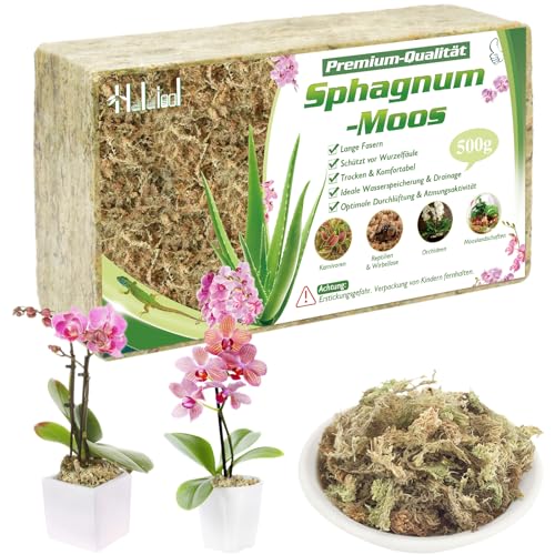 Halatool 500g Premium Sphagnum Moos Langfaseriges Organisches Torfmoos als Substrat für Zimmerpflanzen Terrarien Monstera Moosstäbe & Orchideen