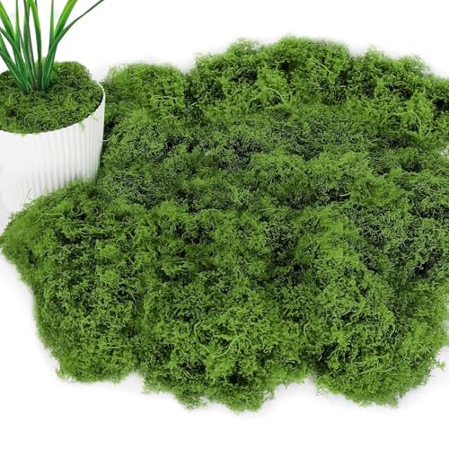 JOZMMZEOOA Mousse Naturelle 100g Mousse Artificielle Decoration Mousse Dislande Fausse Végétale Decorative Simulation Moss Végétaux Artificiels,Doux et...