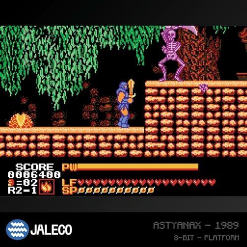 Blaze EVERCADE Jaleco Collection 1 Neuf - vue 8