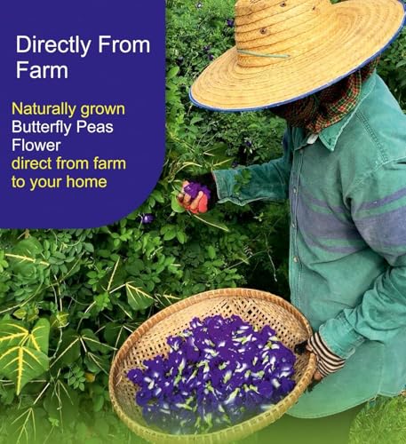 Image of Saara HERBAL FRESH Organic Blue Pea Flower 50g | Butterfly Pea Flower Tea, Aprajita | Sangu Poovu