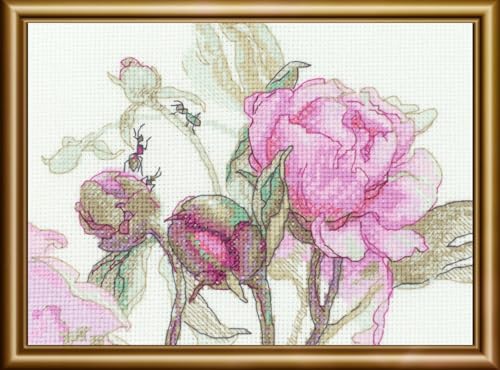 Image of Aine - Peonies. Delight A1009, Cross Stitch Kits 7 inchx6 inch, Cross Stitch Kits for Beginners & Advanced, Crossstitching Kits Adult, Counted Cross Stitch Kits for Adults, Flowers Embroidery Kit