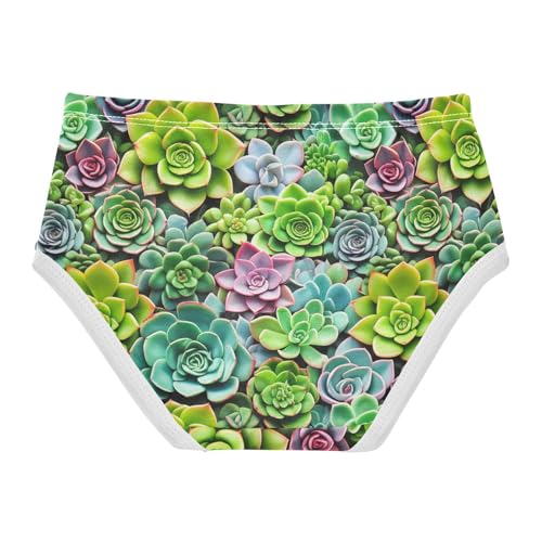 Animal Toddler Girls Underwear 2t Cotton Panties Little Girl Succulent Plants Colorful Green Briefs Underpants2