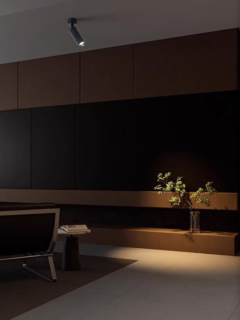 Pack of 2 Surface Mount 7W LED Ceiling Artistic Project Light Fixture Adjustable Spotlight Picture Artwork Wall Wash Hotel Black Cool White