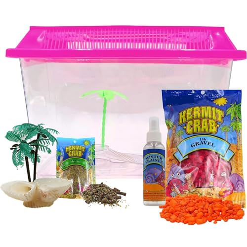 Needzo Reptile and Hermit Crab Supplies Food Pouch Habitat Neon Gravel Mister Trainer and Seashell Palm Tree Accessory All in one Starter Pack 5 Items