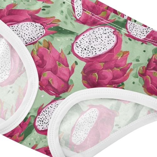 Wusikd Dragon Girls' Underwear Cotton Fruits Girls Briefs Soft Toddler Underwear 2T4