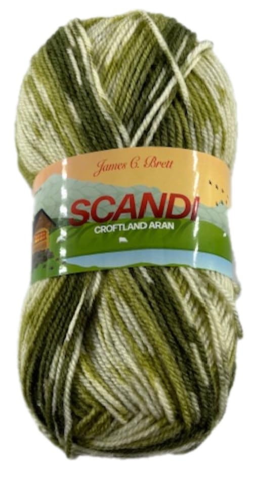 James C Brett Scandi Croftland Aran 150g Ball Acrylic/Wool Blend (A306 Fern)