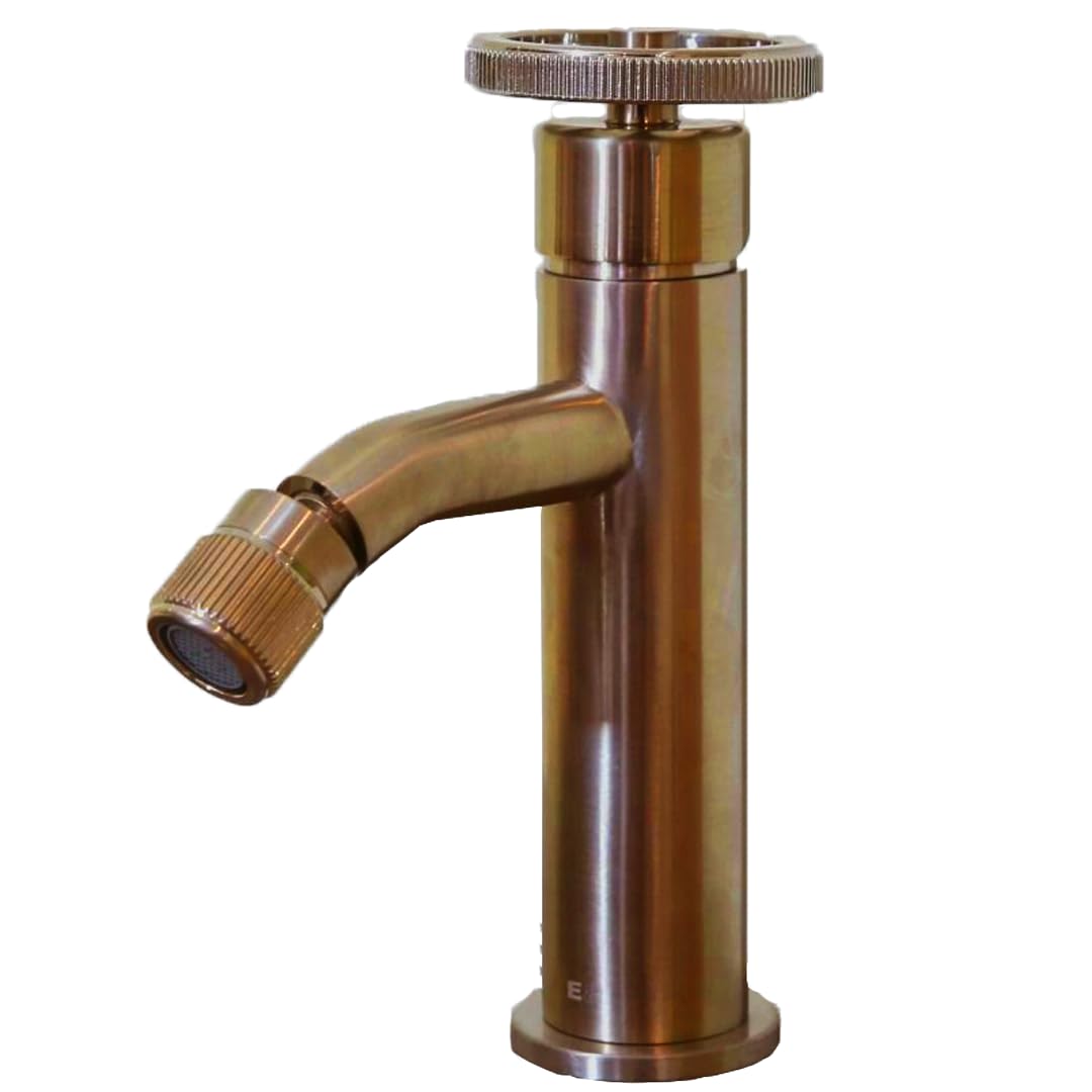 Essebagno Rubinetto della cucina Kiwo oro spazzolato