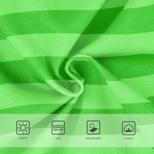 Green Gradient Stripe Toddler Boy's Underwear 2T3